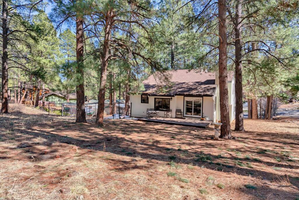 Quaint Home In The Pines Flagstaff Exterior photo